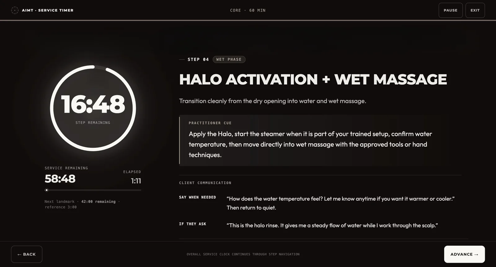 The actual AIMT Service Timer interface, mid-service, showing the live step countdown and instructions